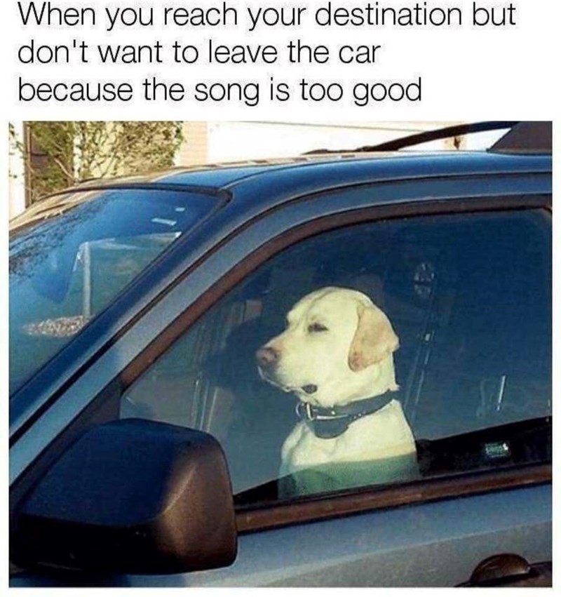 When you reach your destination but don't want to leave the car because the song is too good