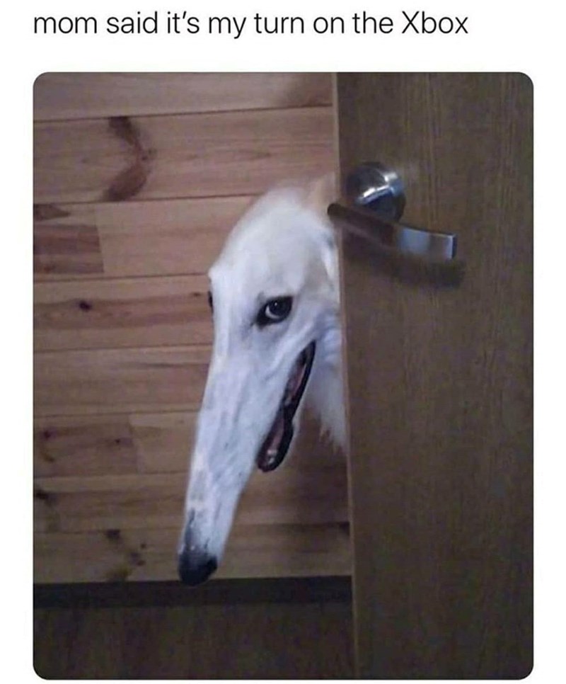 mom said it's my turn on the Xbox
