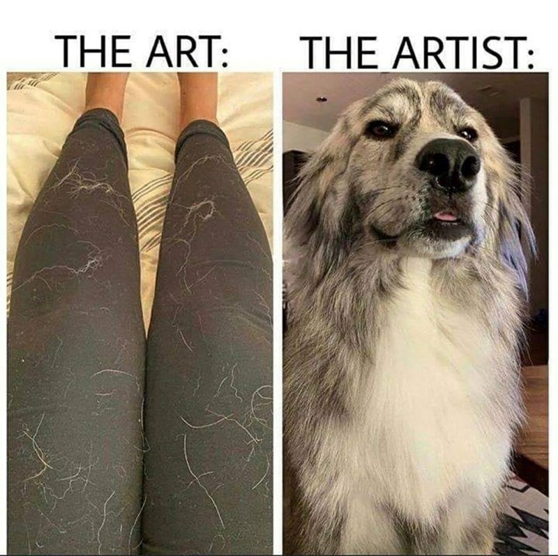 THE ART: THE ARTIST: