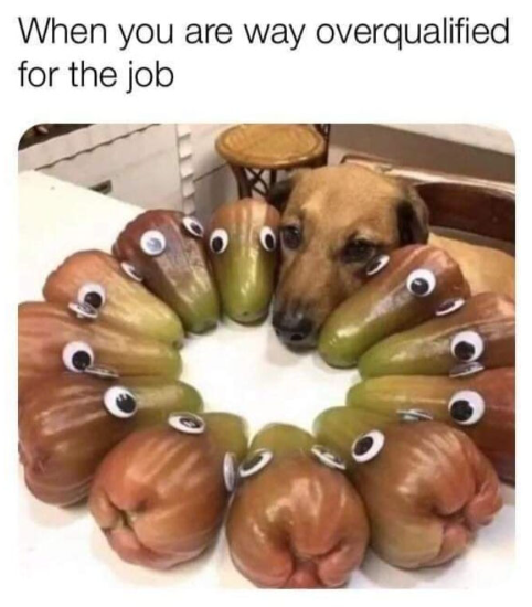 When you are way overqualified for the job