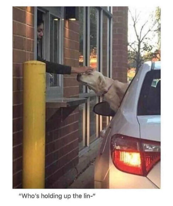 "Who's holding up the lin-"