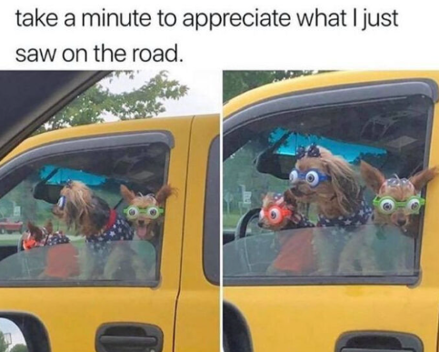 take a minute to appreciate what I just saw on the road.