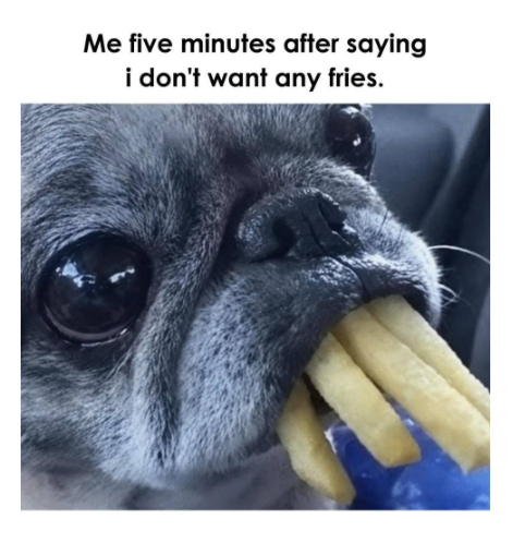 Me five minutes after saying i don't want any fries.