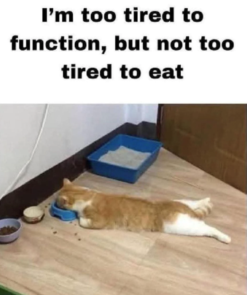 I'm too tired to function, but not too tired to eat