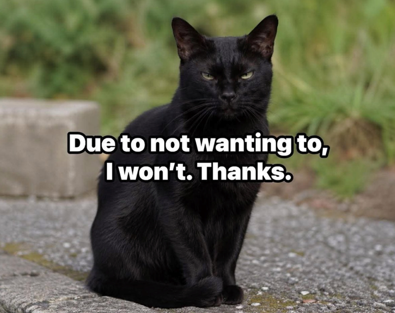Due to not wanting to, I won't. Thanks.