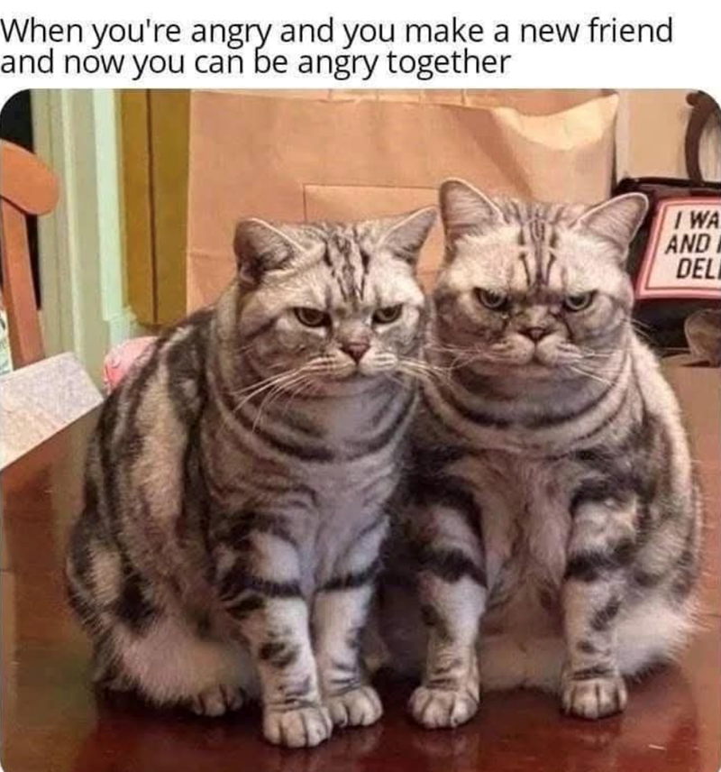 When you're angry and you make a new friend and now you can be angry together I WA AND DEL