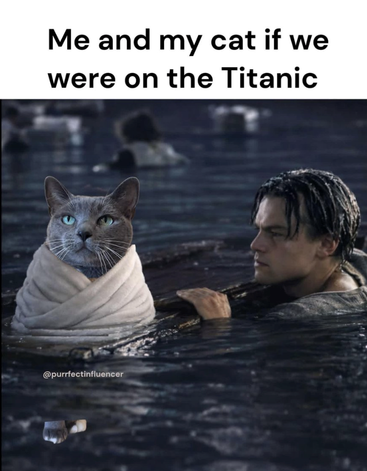 Me and my cat if we were on the Titanic @purrfectinfluencer