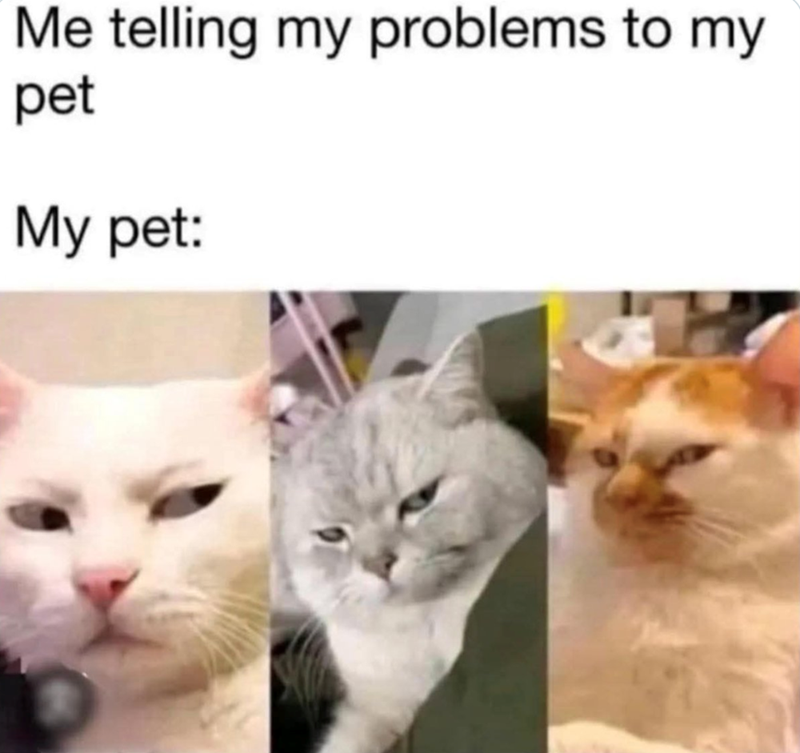 Me telling my problems to my pet My pet:
