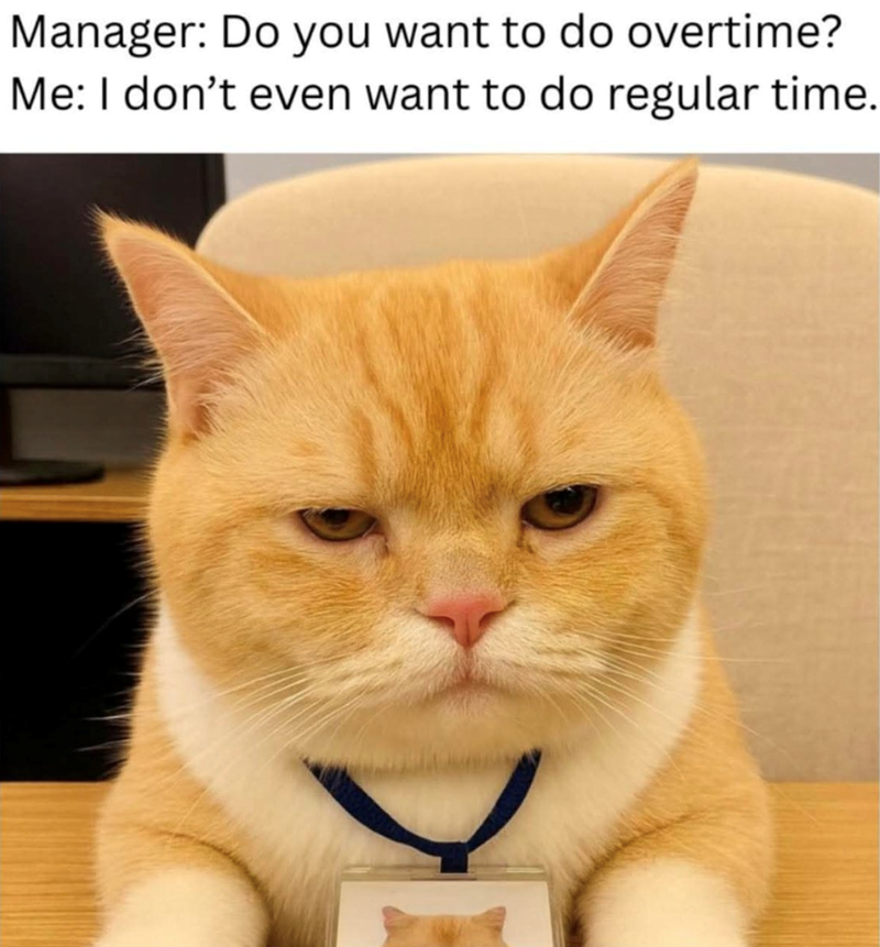 Manager: Do you want to do overtime? Me: I don't even want to do regular time.