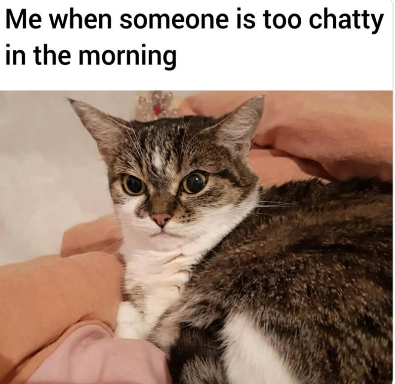 Me when someone is too chatty in the morning