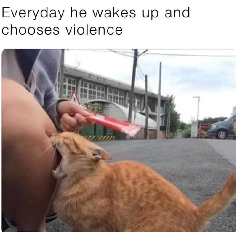Everyday he wakes up and chooses violence