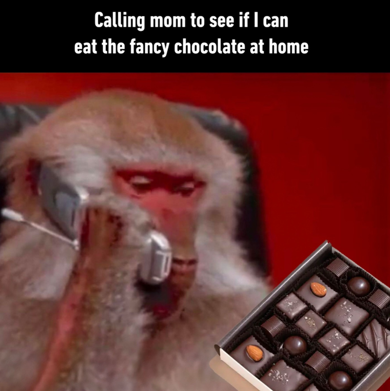 Calling mom to see if I can eat the fancy chocolate at home F