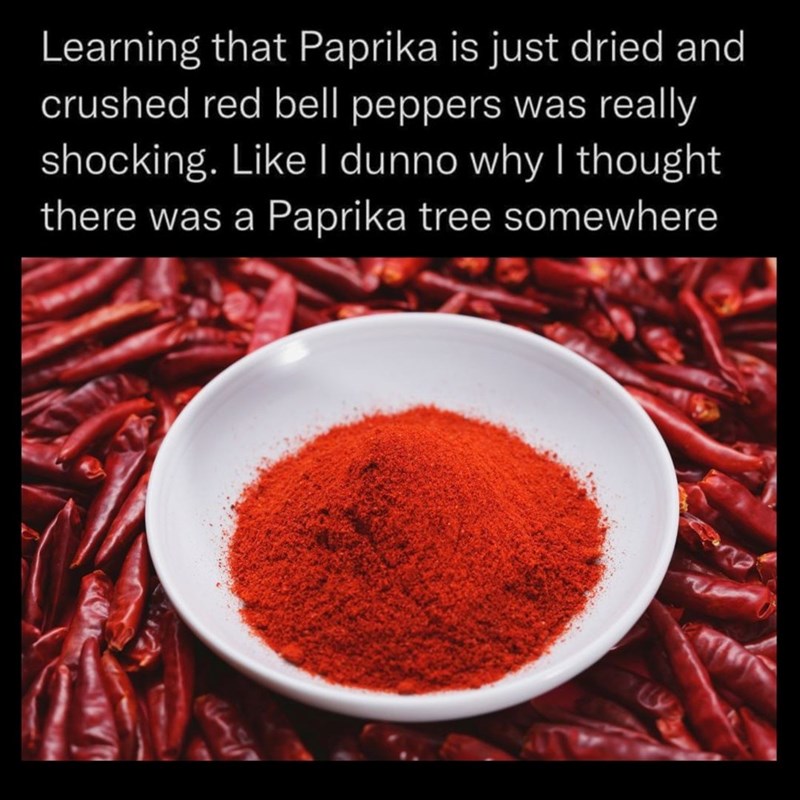 Learning that Paprika is just dried and crushed red bell peppers was really shocking. Like I dunno why I thought there was a Paprika tree somewhere