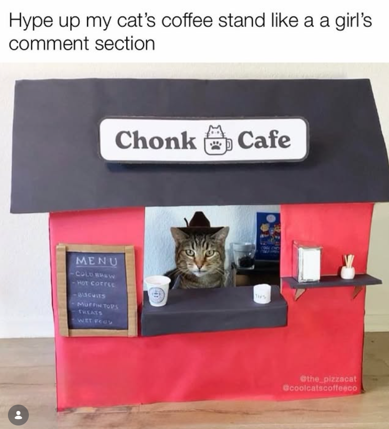 Hype up my cat's coffee stand like a a girl's comment section Chonk Cafe MENU COLD BREW HOT COFFEE BLSCUITS MUFFIN TOPS TREATS WET FOO THS @the_pizzacat coolcatscoffeeco