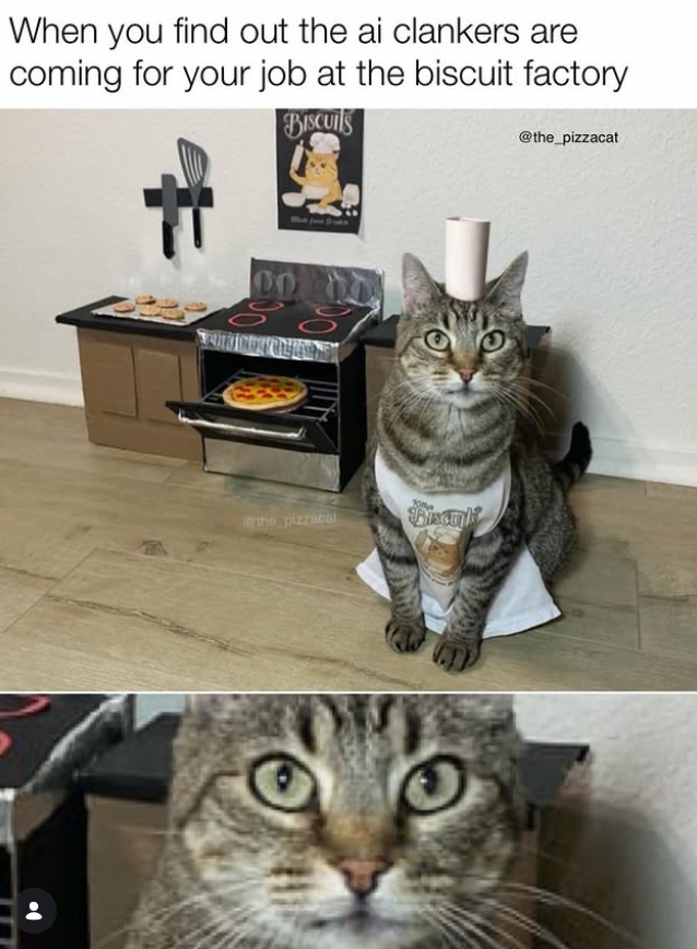 When you find out the ai clankers are coming for your job at the biscuit factory Biscuits Sat 11 the pizzacat Discul @the_pizzacat