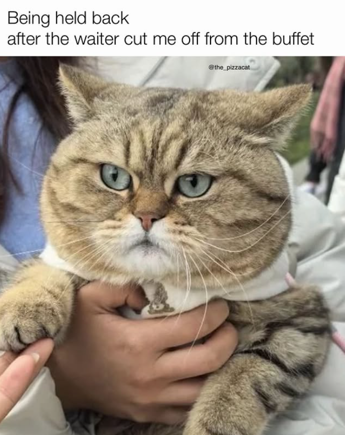 Being held back after the waiter cut me off from the buffet @the_pizzacat