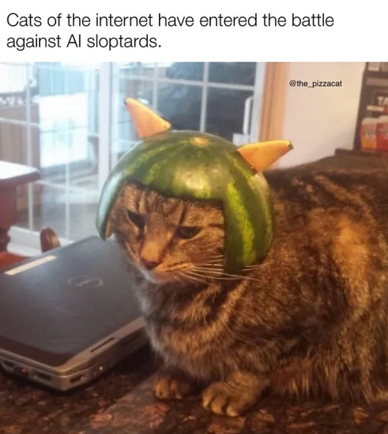 Cats of the internet have entered the battle against Al sloptards. @the_pizzacat TA