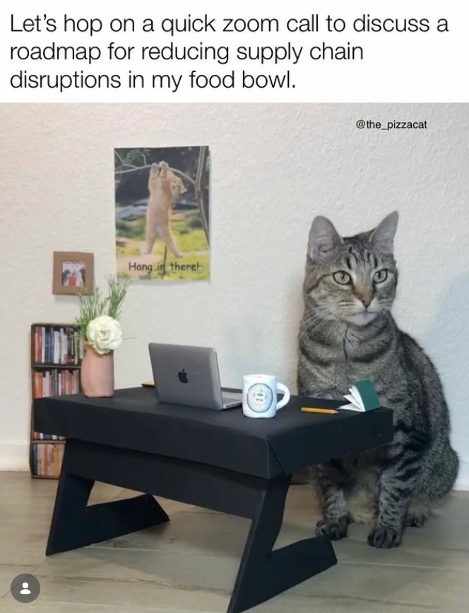 Let's hop on a quick zoom call to discuss a roadmap for reducing supply chain disruptions in my food bowl. Hang in there! @the_pizzacat
