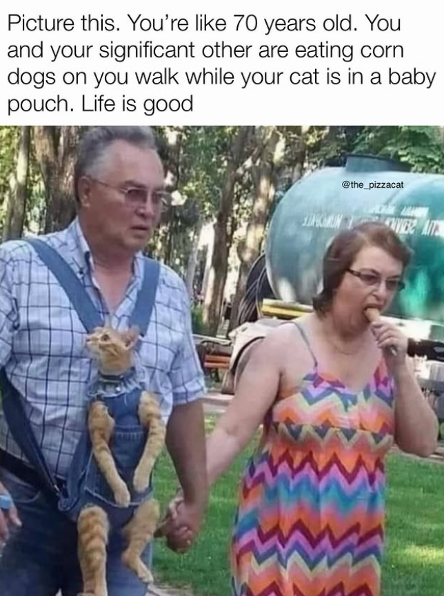 Picture this. You're like 70 years old. You and your significant other are eating corn dogs on you walk while your cat is in a baby pouch. Life is good @the_pizzacat