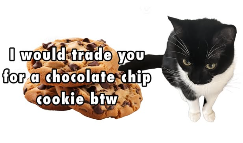 I would trade you for a chocolate chip Cookie btw