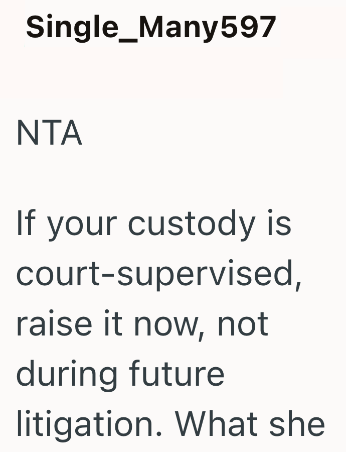 Single_Many597 NTA If your custody is court-supervised, raise it now, not during future litigation. What she