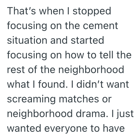 That's when I stopped focusing on the cement situation and started focusing on how to tell the rest of the neighborhood what I found. I didn't want screaming matches or neighborhood drama. I just wanted everyone to have