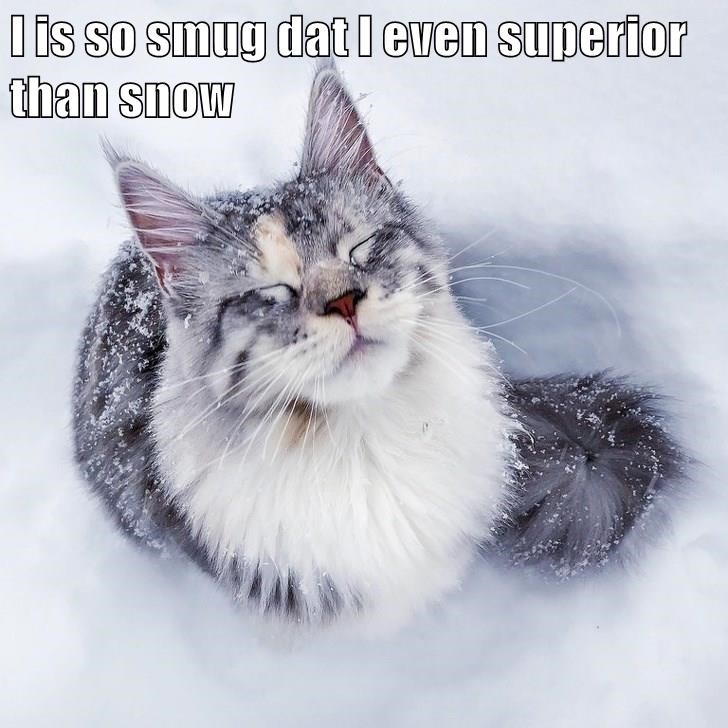 Cheezburger Image 10634075136