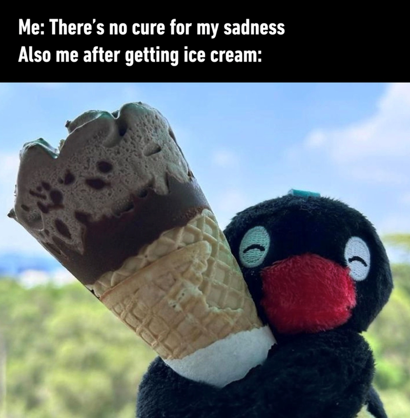 Me: There's no cure for my sadness Also me after getting ice cream: