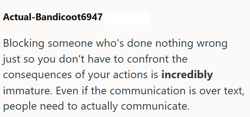 Actual-Bandicoot6947 Blocking someone who's done nothing wrong just so you don't have to confront the consequences of your actions is incredibly immature. Even if the communication is over text, people need to actually communicate.