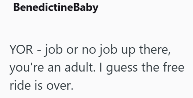 BenedictineBaby YOR - job or no job up there, you're an adult. I guess the free ride is over.