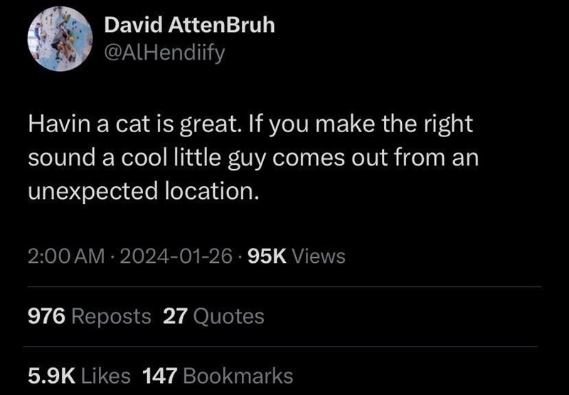 David AttenBruh @AlHendiify Havin a cat is great. If you make the right sound a cool little guy comes out from an unexpected location. 2:00 AM 2024-01-26 95K Views 976 Reposts 27 Quotes 5.9K Likes 147 Bookmarks