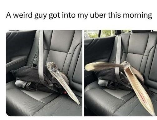 A weird guy got into my uber this morning