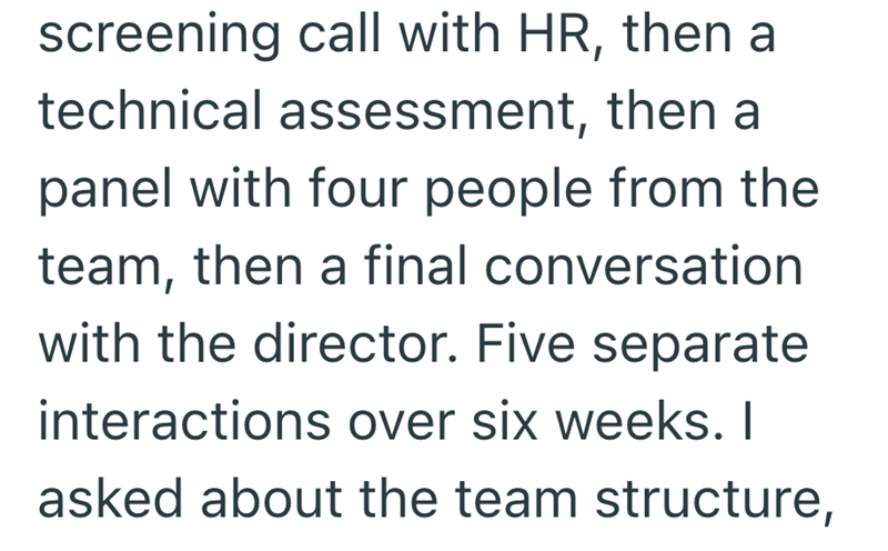 screening call with HR, then a technical assessment, then a panel with four people from the team, then a final conversation with the director. Five separate interactions over six weeks. I asked about the team structure,