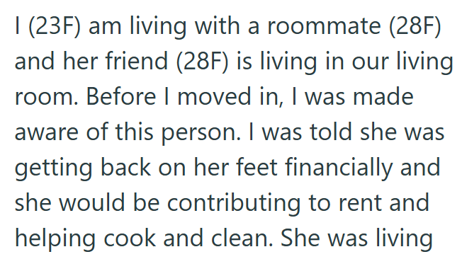 I (23F) am living with a roommate (28F) and her friend (28F) is living in our living. room. Before I moved in, I was made aware of this person. I was told she was getting back on her feet financially and she would be contributing to rent and helping cook and clean. She was living