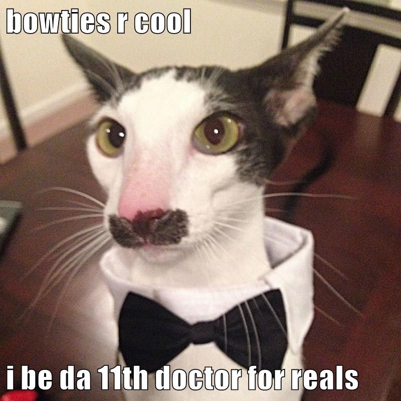 Cheezburger Image 10634155776