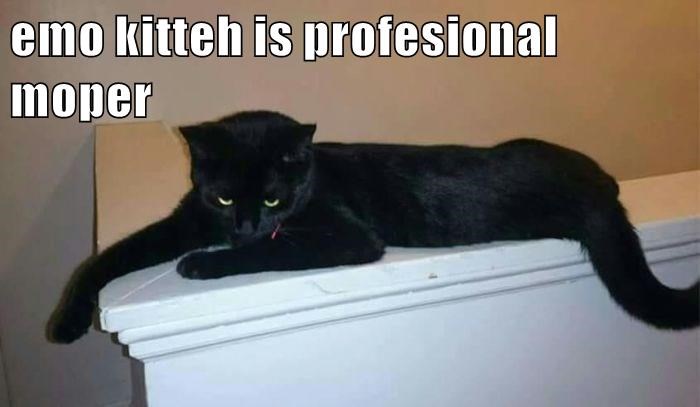 Cheezburger Image 10634165504