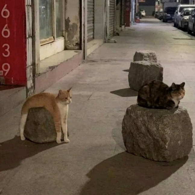 6 6 3 9