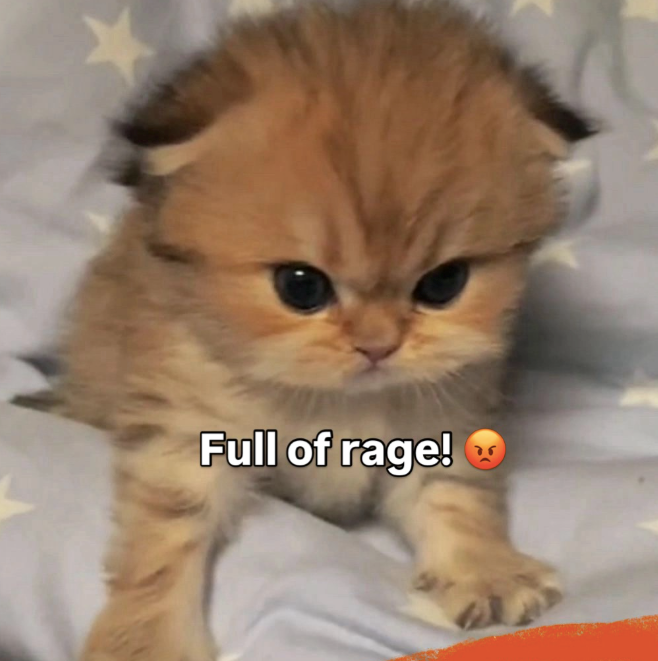 Full of rage!