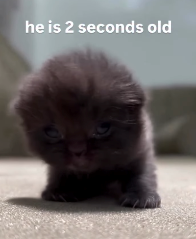 he is 2 seconds old