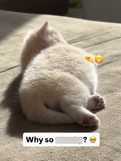 Why so