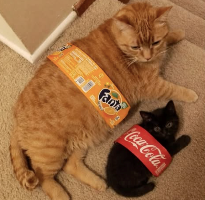 Fanta Coca-Cola
