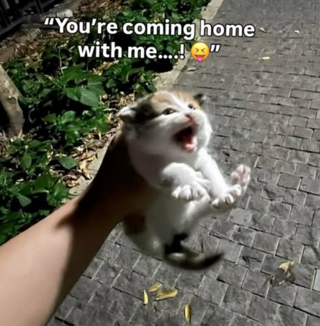 "You're coming home with me....!"