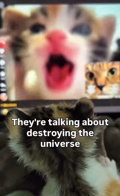 They're talking about destroying the universe