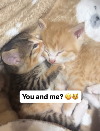 You and me?
