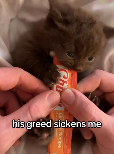 Chu his greed sickens me Recipe
