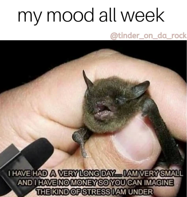 my mood all week @tinder_on_da_rock I HAVE HAD A VERY LONG DAY.... IAM VERY SMALL AND I HAVE NO MONEY SO YOU CAN IMAGINE THE KIND OF STRESSIAM UNDER