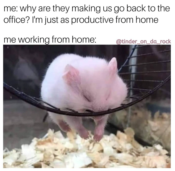 me: why are they making us go back to the office? I'm just as productive from home me working from home: @tinder_on_da_rock