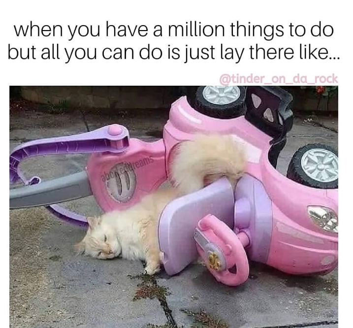 when you have a million things to do but all you can do is just lay there like... @tinder_on_da_rock aboneddreams