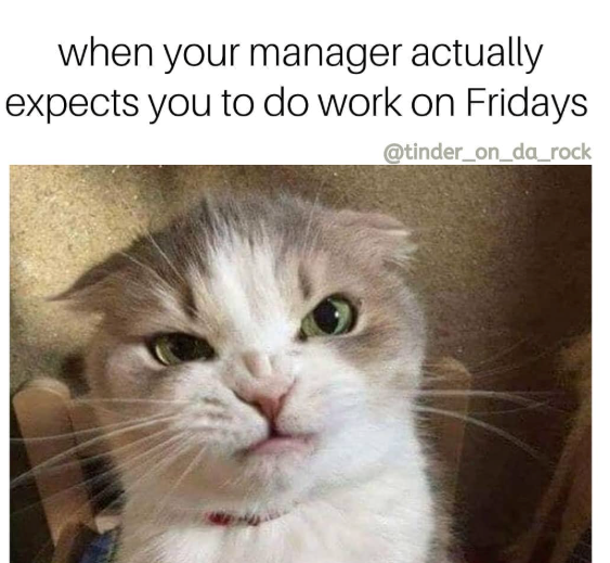 when your manager actually expects you to do work on Fridays @tinder_on_da_rock