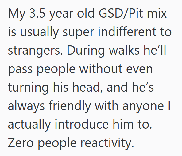 My 3.5 year old GSD/Pit mix is usually super indifferent to strangers. During walks he'll pass people without even turning his head, and he's always friendly with anyone I actually introduce him to. Zero people reactivity.